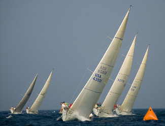 Color Awards Winners and Nominees