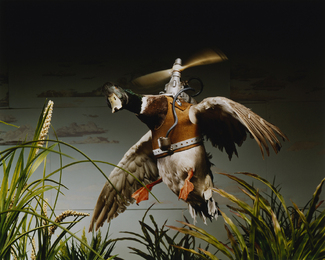 Color Awards Winners and Nominees