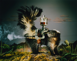 Color Awards Winners and Nominees