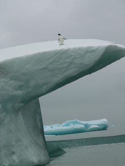 Color Awards Winners and Nominees