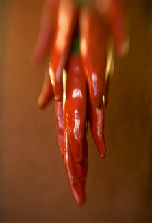 Color Awards Winners and Nominees