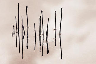 Color Awards Winners and Nominees