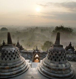 Color Awards Winners and Nominees