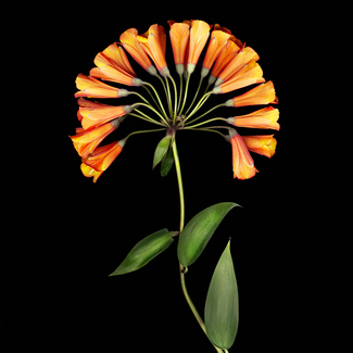 Color Awards Winners and Nominees