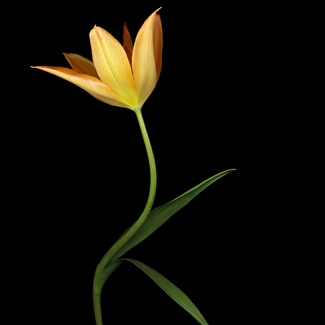 Color Awards Winners and Nominees