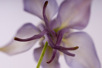 Color Awards Winners and Nominees