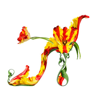 Color Awards Winners and Nominees