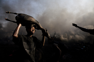 Color Awards Winners and Nominees