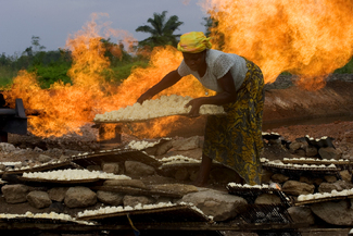 Color Awards Winners and Nominees