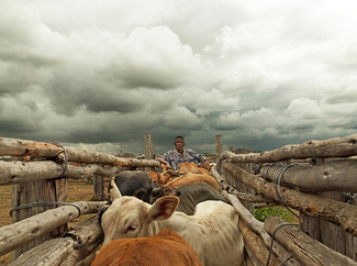 Color Awards Winners and Nominees