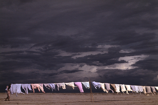 Color Awards Winners and Nominees