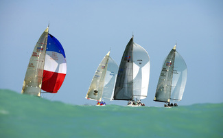 Color Awards Winners and Nominees