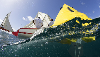 Color Awards Winners and Nominees