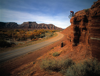 Color Awards Winners and Nominees