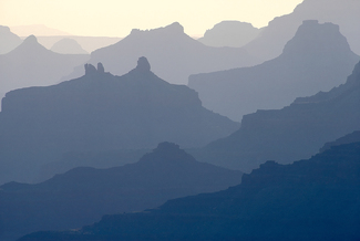 Color Awards Winners and Nominees