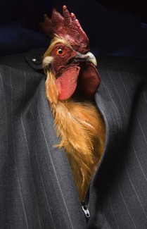 Color Awards Winners and Nominees