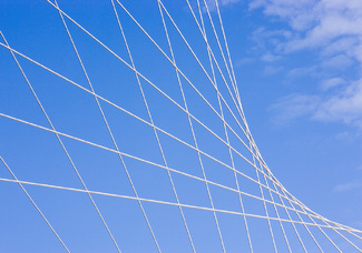 Color Awards Winners and Nominees