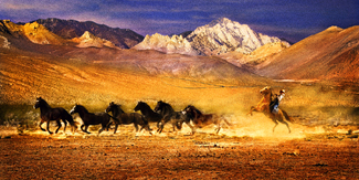 Color Awards Winners and Nominees