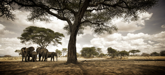 Color Awards Winners and Nominees