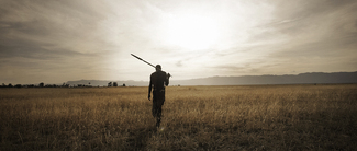 Color Awards Winners and Nominees