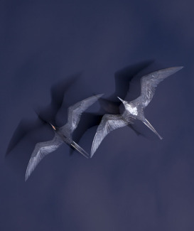 Color Awards Winners and Nominees