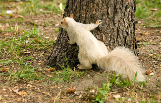 Color Awards Winners and Nominees