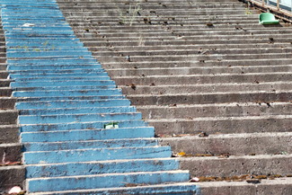 Color Awards Winners and Nominees