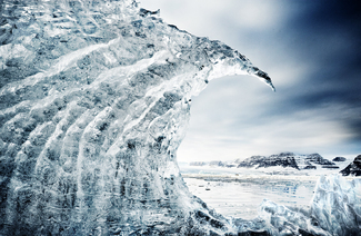 Color Awards Winners and Nominees