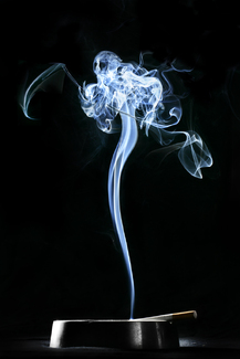 Color Awards Winners and Nominees