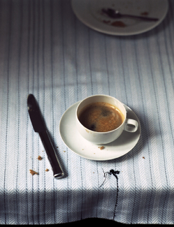 Color Awards Winners and Nominees