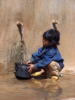 Color Awards Winners and Nominees