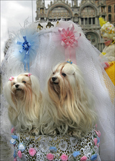 Color Awards Winners and Nominees