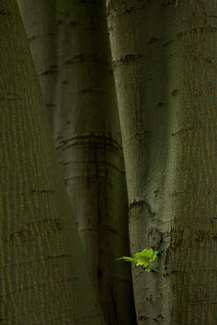 Color Awards Winners and Nominees