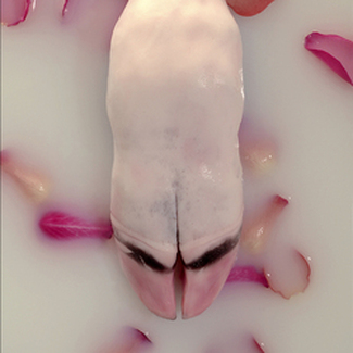 Color Awards Winners and Nominees