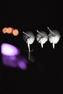 Color Awards Winners and Nominees