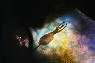 Color Awards Winners and Nominees