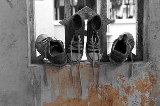 Color Awards Winners and Nominees