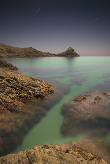 Color Awards Winners and Nominees