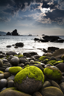 Color Awards Winners and Nominees