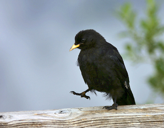 Color Awards Winners and Nominees