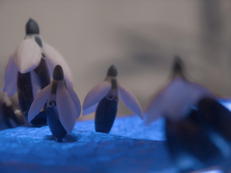 Color Awards Winners and Nominees