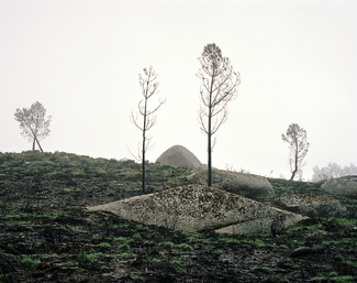Color Awards Winners and Nominees
