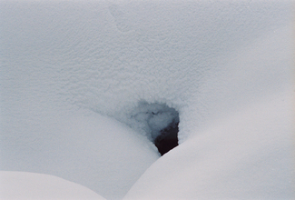 Color Awards Winners and Nominees