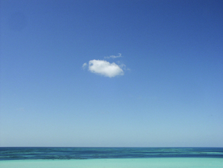 Color Awards Winners and Nominees