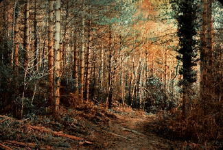 Color Awards Winners and Nominees