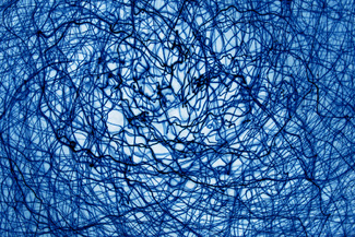 Color Awards Winners and Nominees