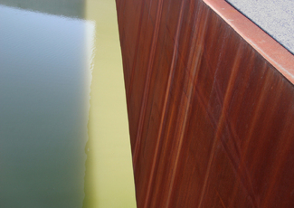 Color Awards Winners and Nominees