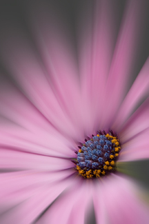 Color Awards Winners and Nominees