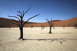 Color Awards Winners and Nominees