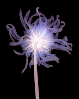 Color Awards Winners and Nominees